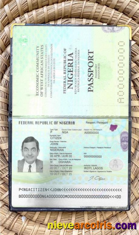 Nigeria passport (2019-present) photolook